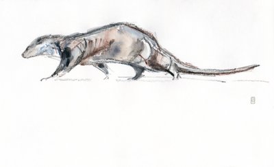 Nutria corriendo, 2022 (acuarela/crayón sobre papel) de David Mayer