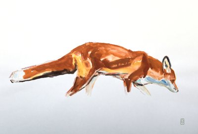 Red Fox, 2020 (acuarela y crayón) de David Mayer