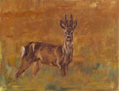 Roe Buck, 2021 de David Mayer