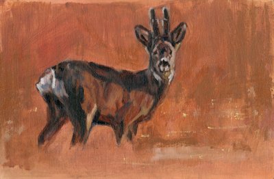 Roe Buck, 2021 de David Mayer