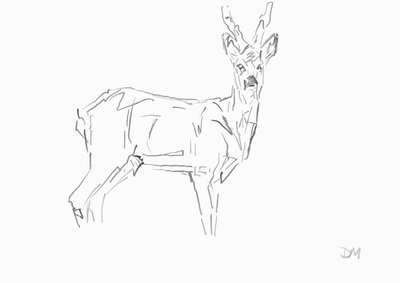 Roe Buck, 2024 (tinta con pluma de caña de bambú sobre papel) de David Mayer