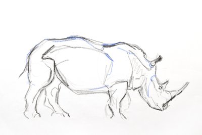 White Rhino, 2021 (crayón y acuarela sobre papel) de David Mayer