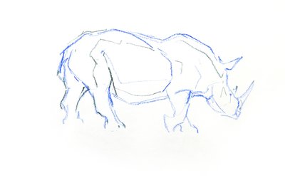 Rinoceronte blanco, 2020 (lápiz sobre papel) de David Mayer