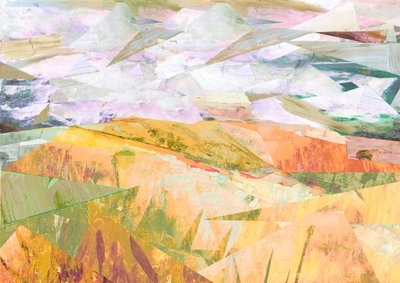 Campos de verano de David McConochie
