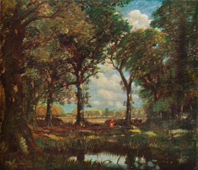 Un estanque en el bosque, c1905 de David Muirhead