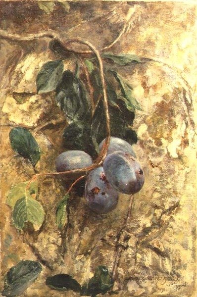 Ciruelas de David Murray