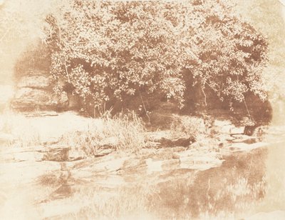 Burnside, Isla de Fife en el Río Almond, 1843-47 de Hill and Adamson