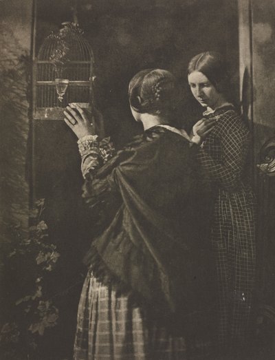 Camera Work: La Jaula de Pájaros, 1909 de David Octavius Hill