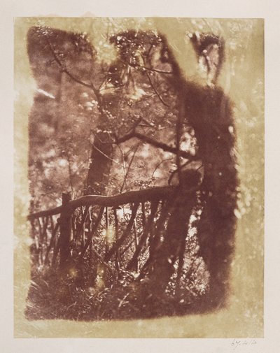 Cerca y Árboles en el Bosque de Colinton (impresión en papel salado de negativo de calotipo) de David Octavius Hill