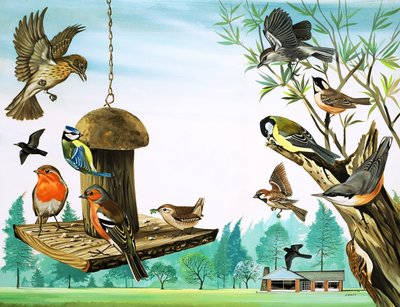 Todo tipo de pájaros alrededor de la mesa del jardín, ilustración de 