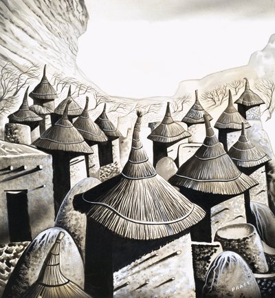 Casas primitivas: Los tejados de los banani de David Pratt
