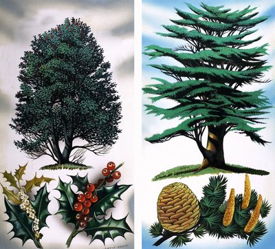 Árboles que se ven: Acebo y Cedro de David Pratt