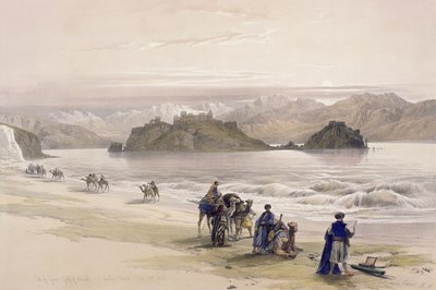 Isla de Graie, Golfo de Akabah, Arabia Petraea, 27 de febrero de 1839, lámina 108 del Volumen III de 