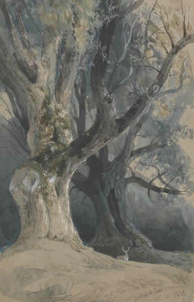 Árboles en Northwick Park de David Roberts