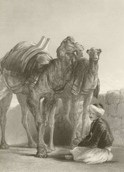 Un grupo de camellos en Esmirna de David Wilkie