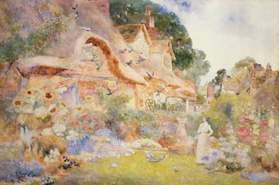 Observando las palomas de David Woodlock