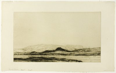 Dinnet Moor de David Young Cameron