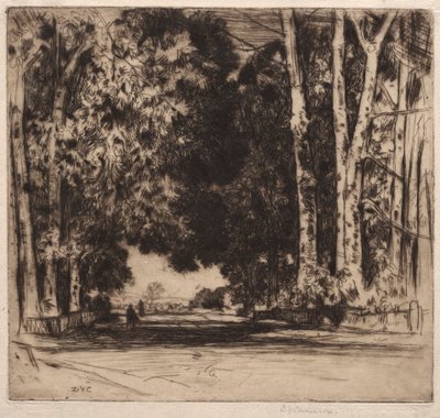 La Avenida de David Young Cameron