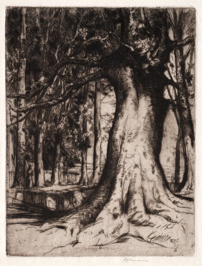 The Sycamore de David Young Cameron