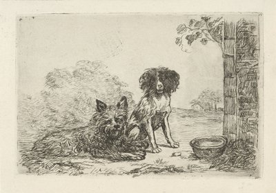 Dos perros de David van der Kellen