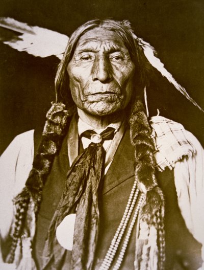 Wolf Robe (n. 1841) 1909 (foto en blanco y negro) de DeLancey W. Gill