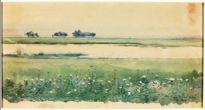 (Paisaje con marismas) de De Lancey Gill