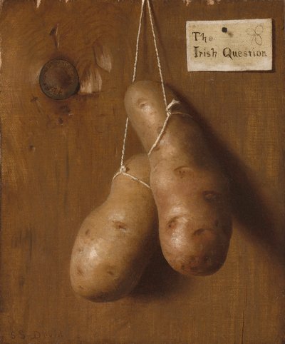La cuestión irlandesa, 1880s de De Scott Evans