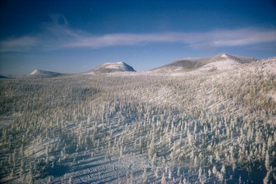 Siberia en invierno paisaje sobre pantano y bosques cubiertos de nieve

 de Dean Conger