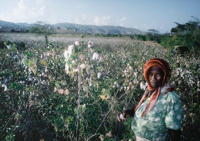 Mujer en el campo de Sea Island, Granadinas de Dean Conger