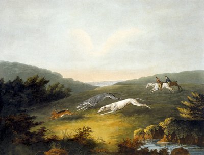Caza, placa 2, grabado por R.G. Reeve de Dean Snr. (after) Wolstenholme