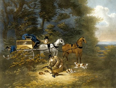 Disparo, placa 4 (grabado por R.G. Reeve) de Dean Snr. (after) Wolstenholme