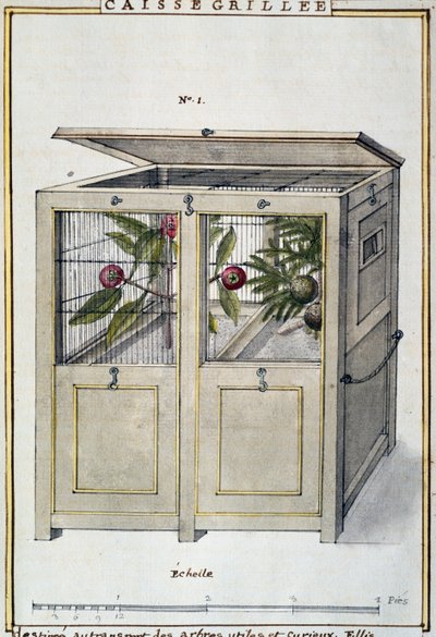 Contenedor para transportar árboles útiles e interesantes, basado en Florindie ou Histoire physico-economique des vegetaux de la Torride de Delahaye Delahaye
