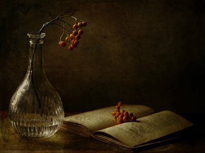  de Delphine Devos