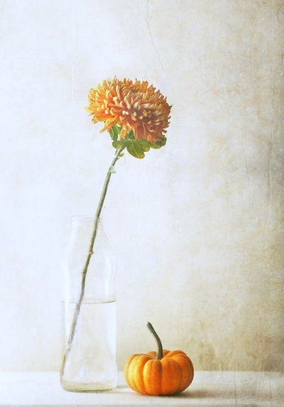  de Delphine Devos