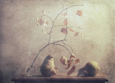  de Delphine Devos