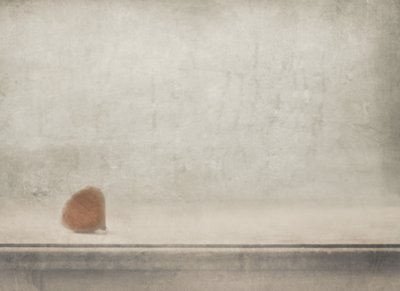  de Delphine Devos