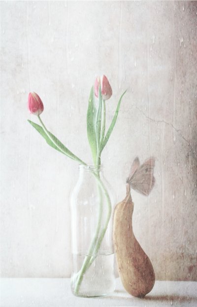  de Delphine Devos