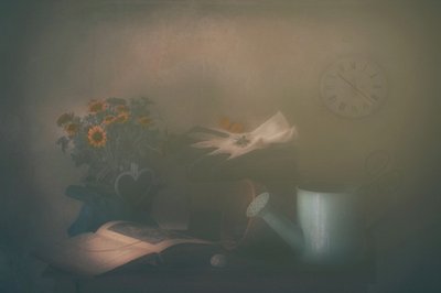  de Delphine Devos