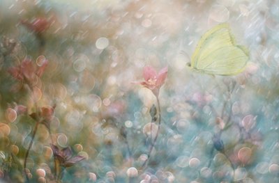  de Delphine Devos