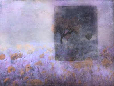 de Delphine Devos