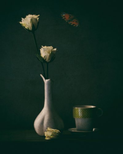  de Delphine Devos