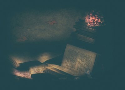  de Delphine Devos