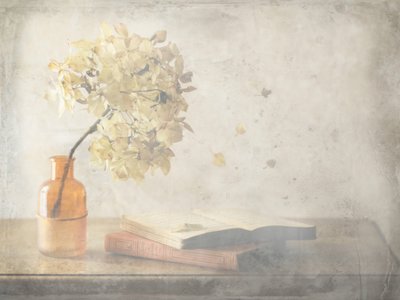  de Delphine Devos