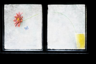  de Delphine Devos