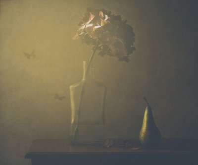  de Delphine Devos
