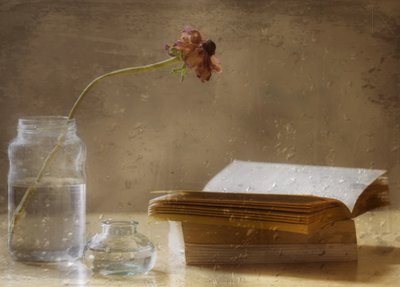 Flor melancólica y libro de Delphine Devos