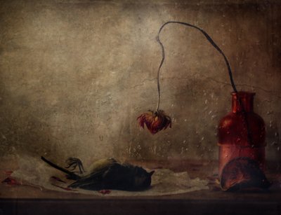  de Delphine Devos