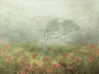  de Delphine Devos