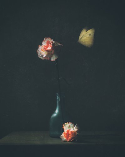  de Delphine Devos
