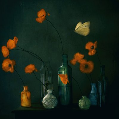  de Delphine Devos